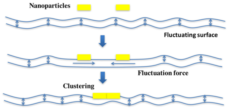 Figure 13.