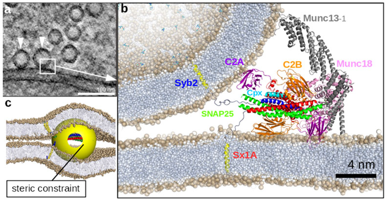 Figure 10.