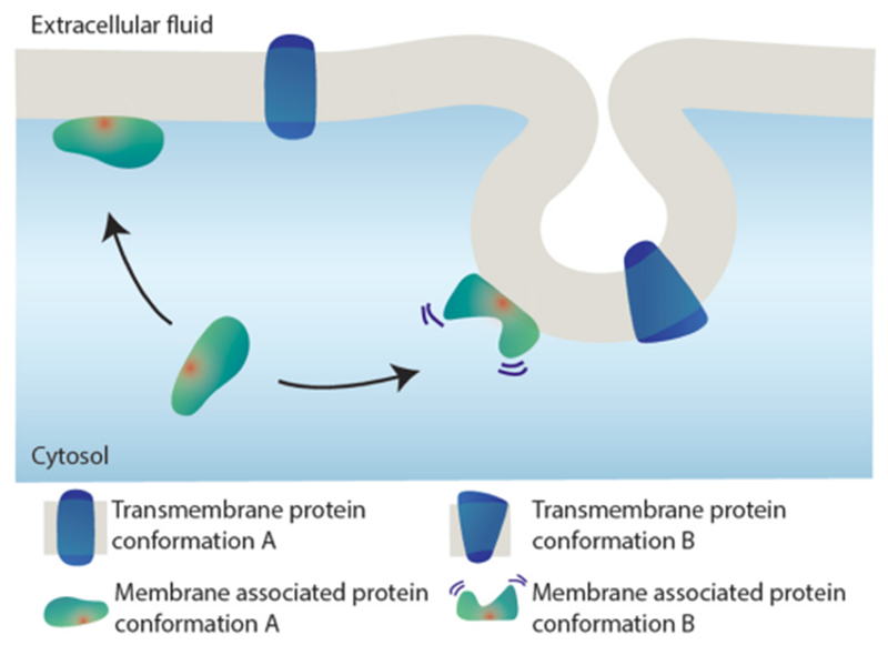 Figure 22.