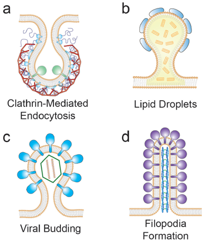 Figure 20.