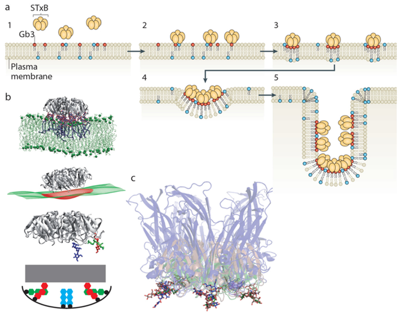 Figure 12.