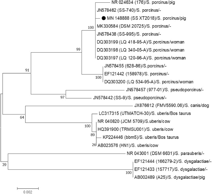 Fig. 2