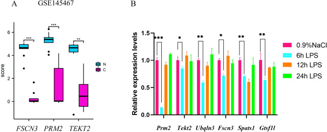 Figure 5