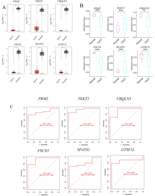 Figure 7