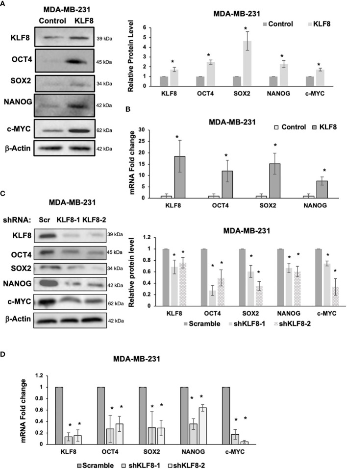 Figure 3