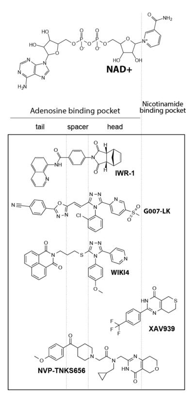 Fig. (5)