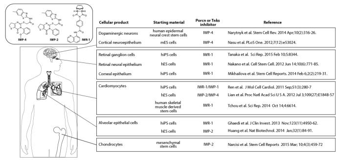 Fig. (4)