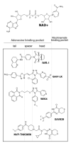 Fig. (5)