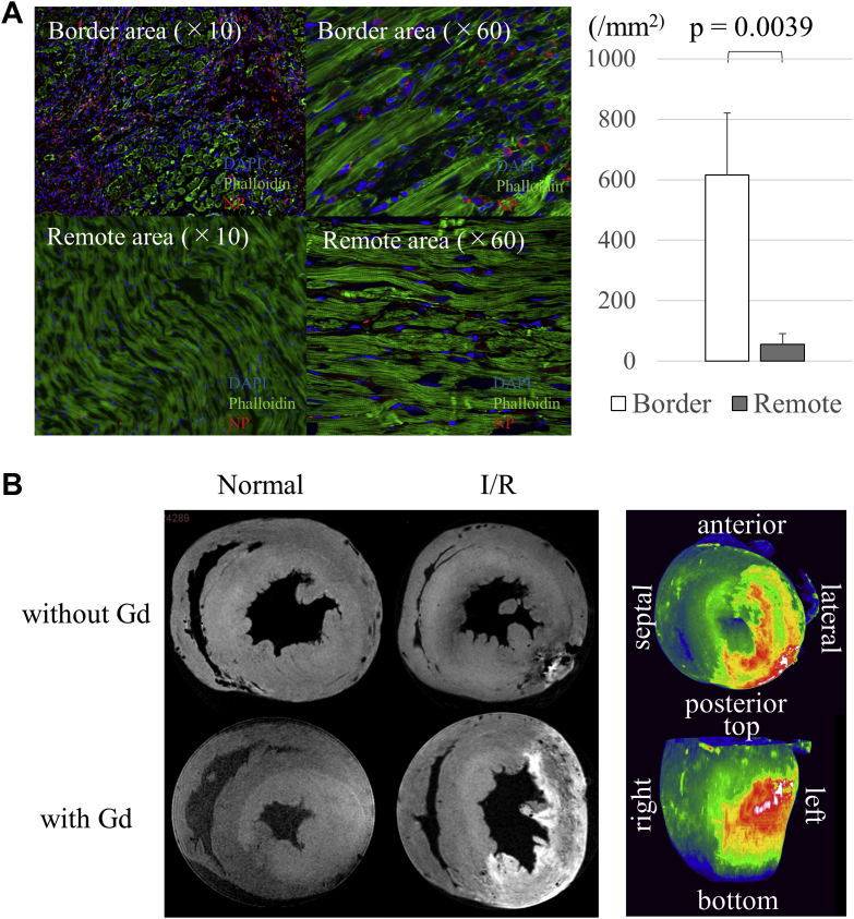 Figure 3