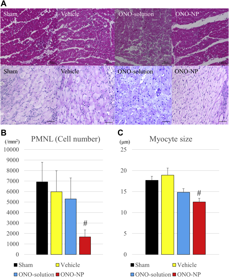 Figure 6