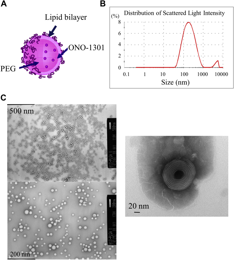 Figure 1