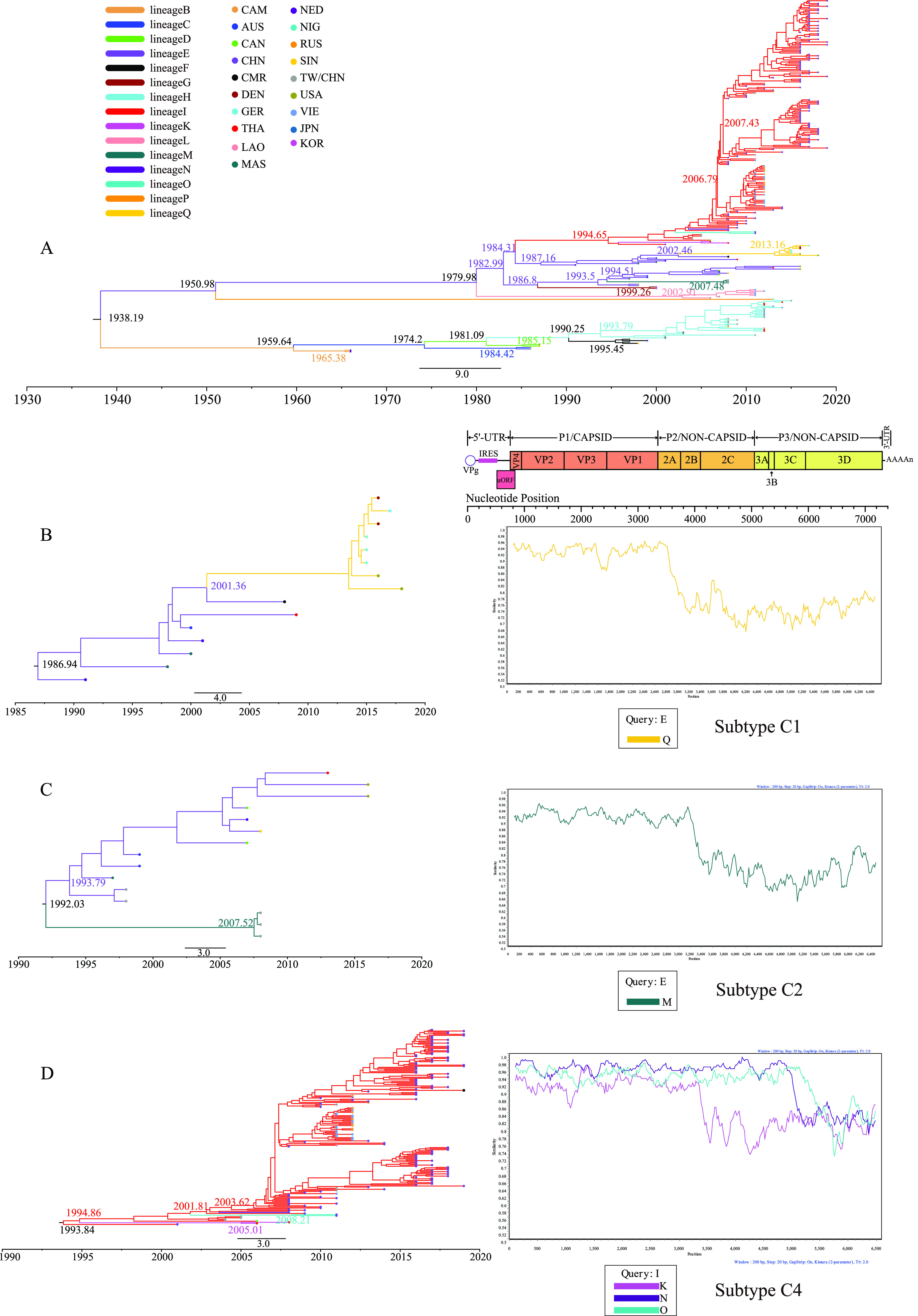 FIG 2