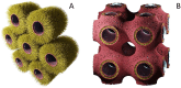 Figure 6.