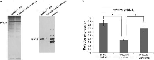 Figure7