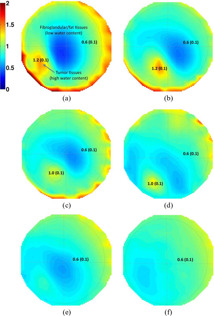 Fig. 7