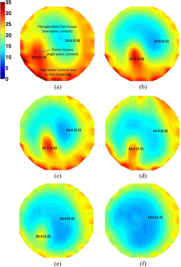 Fig. 6