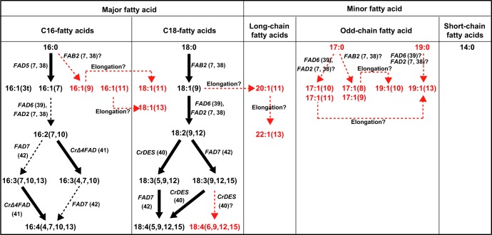 FIG 6