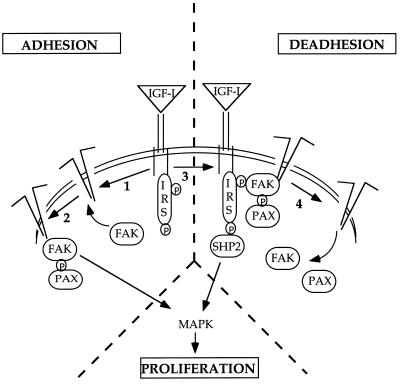 FIG. 11