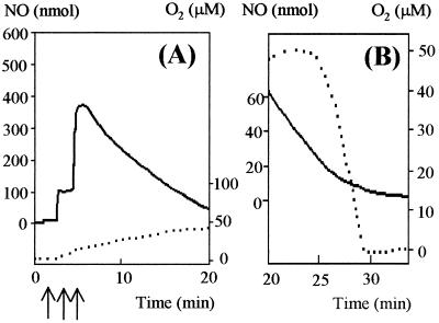 FIG. 6