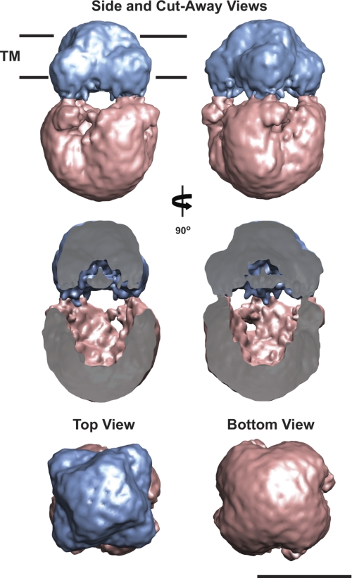 FIGURE 4.