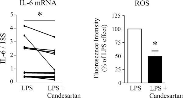 Fig. 13