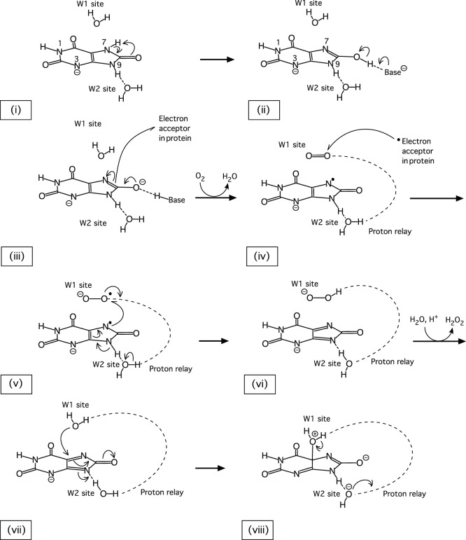 Figure 13