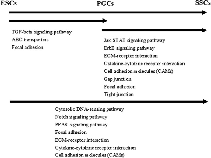 FIGURE 11.