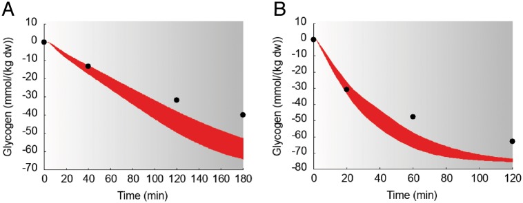 Fig 12