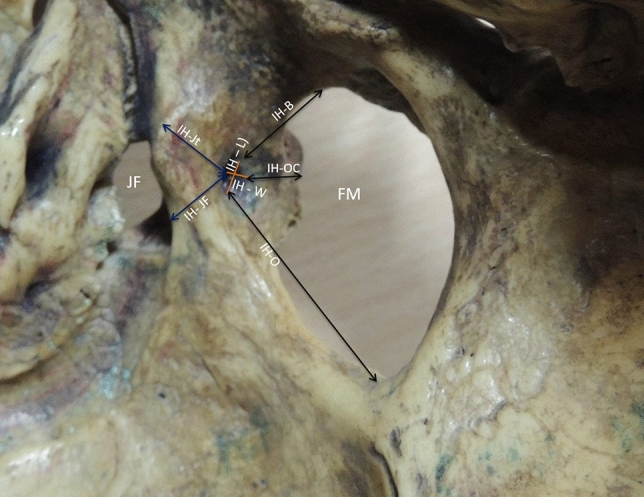 Fig. 2