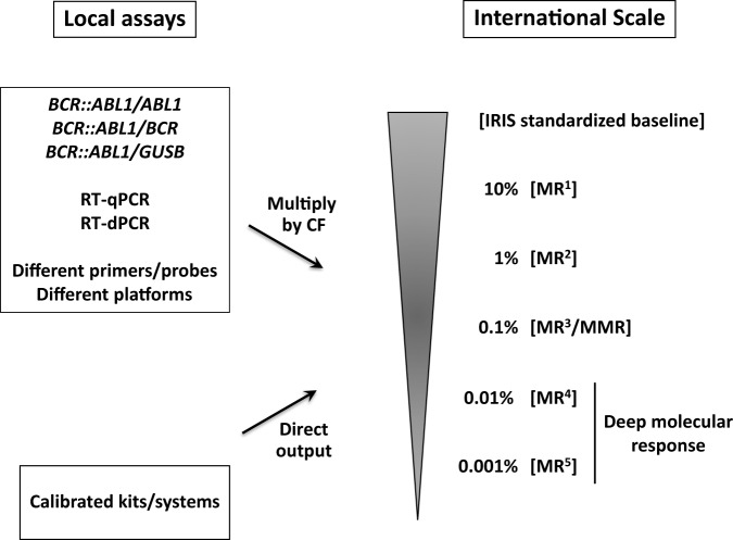 Fig. 4