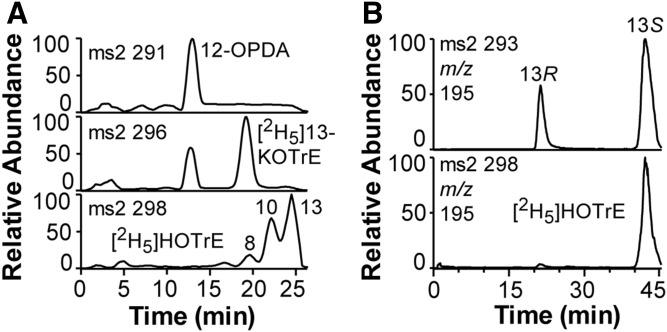 Fig. 8.