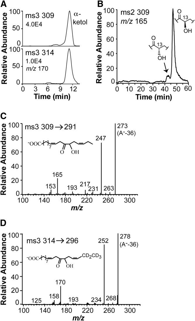 Fig. 9.