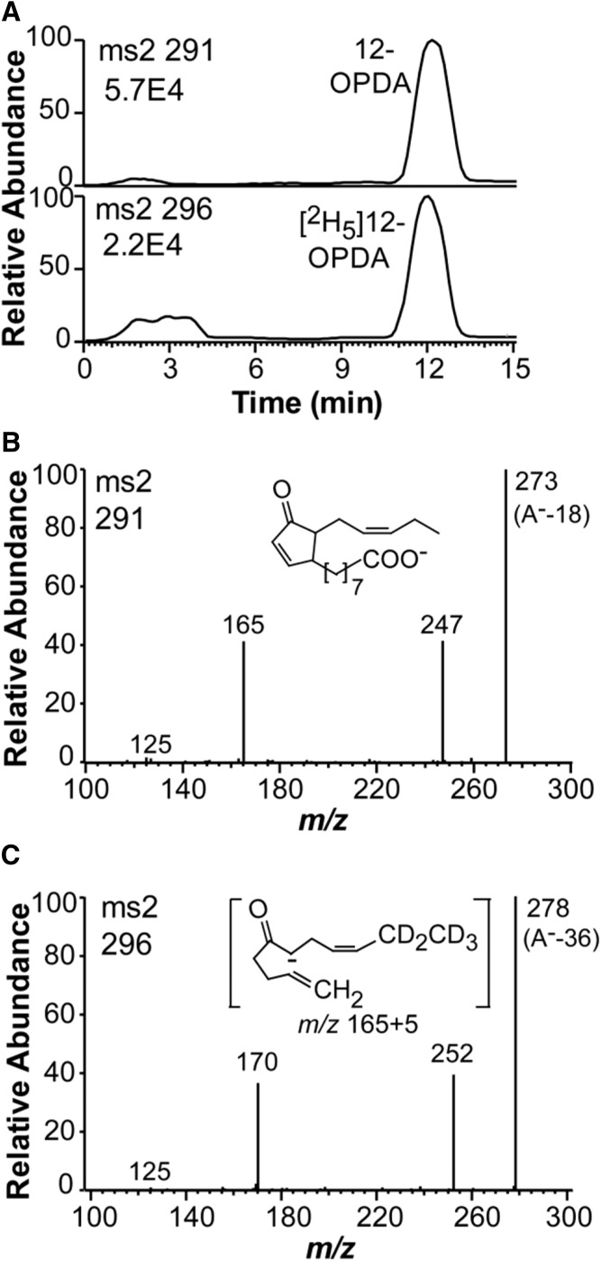 Fig. 7.