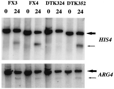 FIG. 6