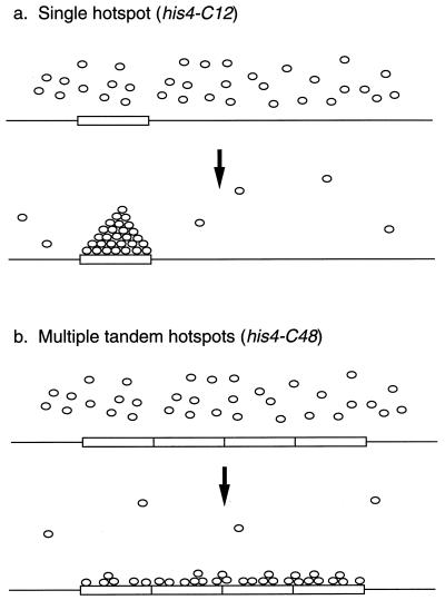 FIG. 7