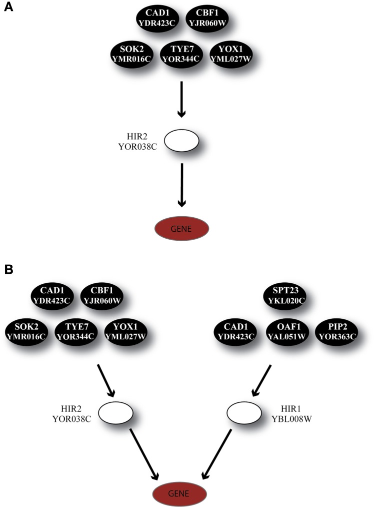 Figure 7