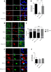 FIG 6