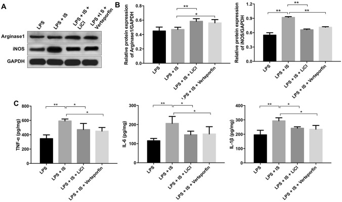 Fig. 6