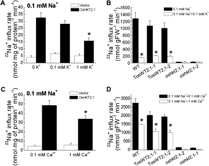 Figure 6.