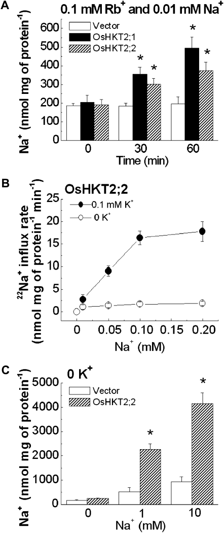 Figure 3.