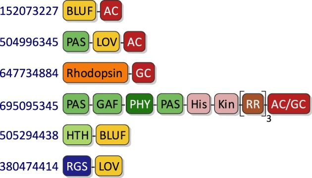 Figure 6