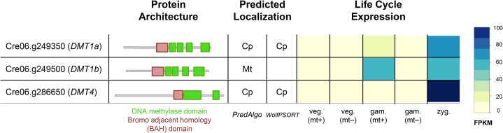 Figure 7.