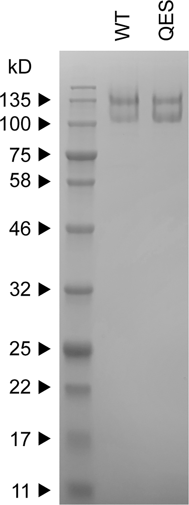 FIG 9