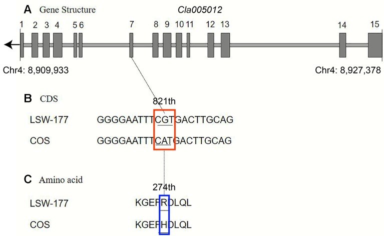 Figure 6