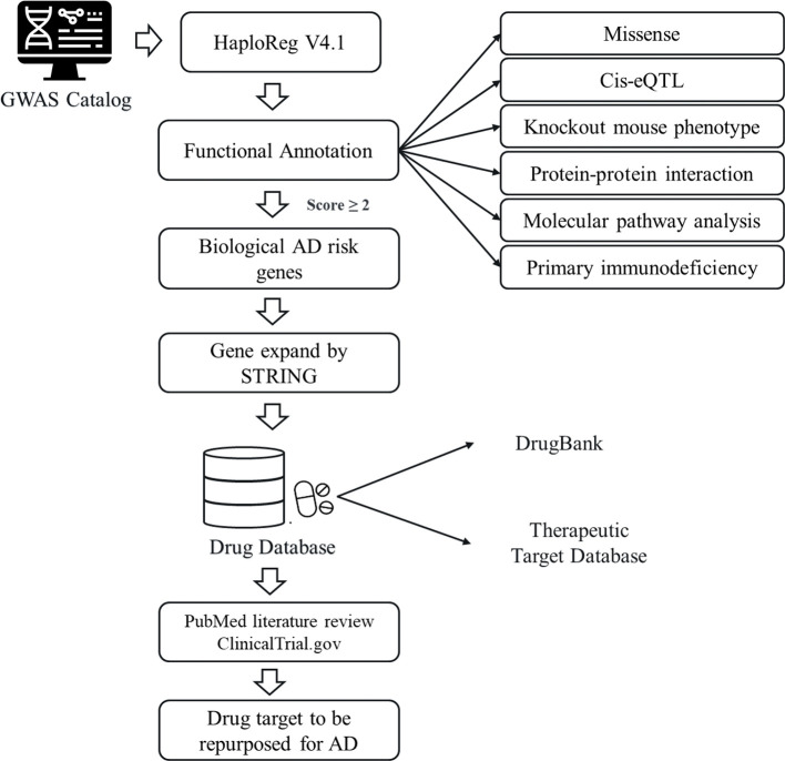 Figure 1