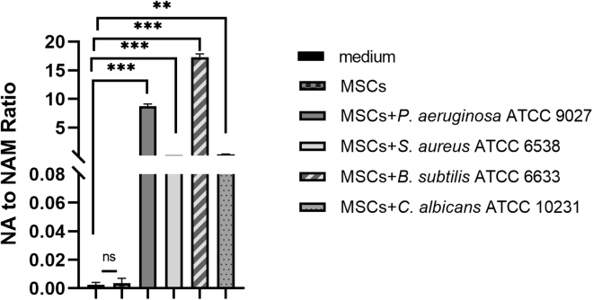 Figure 5