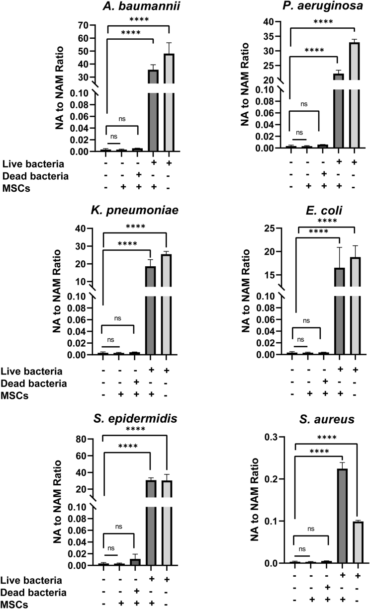 Figure 4