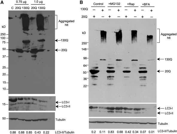 Figure 1.