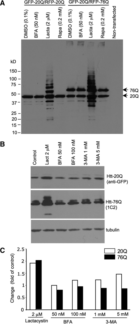 Figure 5.