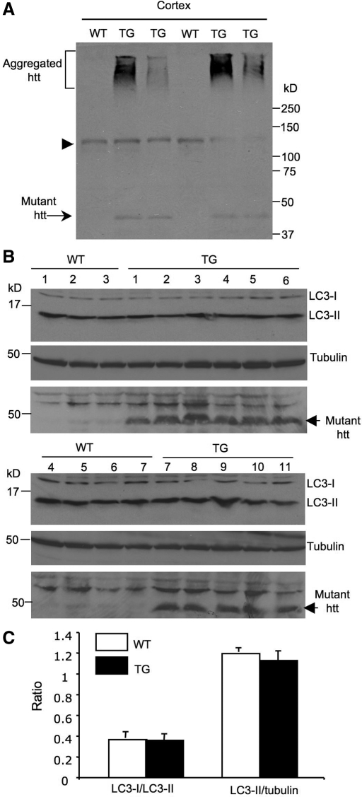 Figure 2.